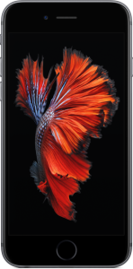 Apple - iPhone 6S Uzay Grisi 32GB|