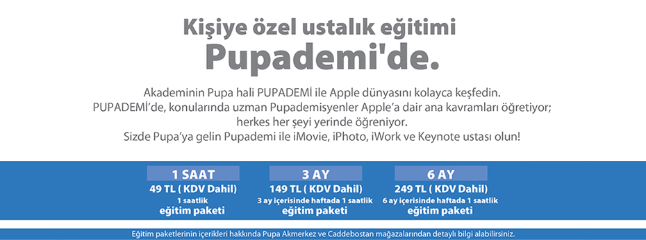 Pupademi