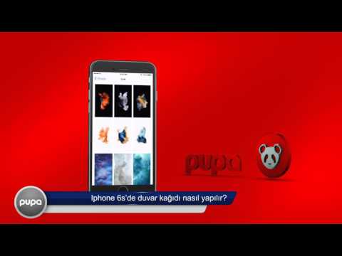 6S Duvar Kağıdı