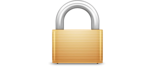 TS1275_2x-lock--003-en